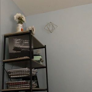 Meet your Posher, Tatum